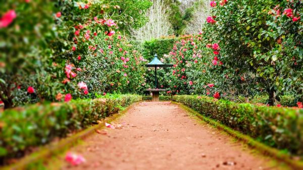 Transformez votre jardin en un véritable havre de paix